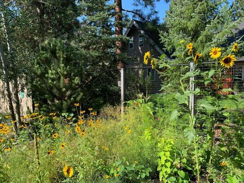 526 E Tyee Dr, Sisters, OR 97759 photo 38
