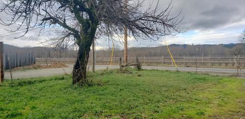 4195 Holland Loop Rd, Cave Junction, OR 97523 photo 4