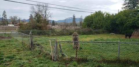 4195 Holland Loop Rd, Cave Junction, OR 97523 photo 5