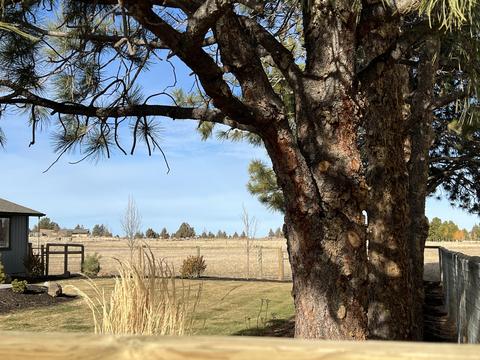 22460 Rickard Rd, Bend, OR 97702 photo 15