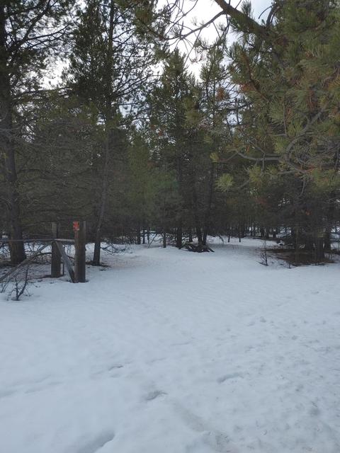 17455 Cedar Ct, Bend, OR 97707 photo 3