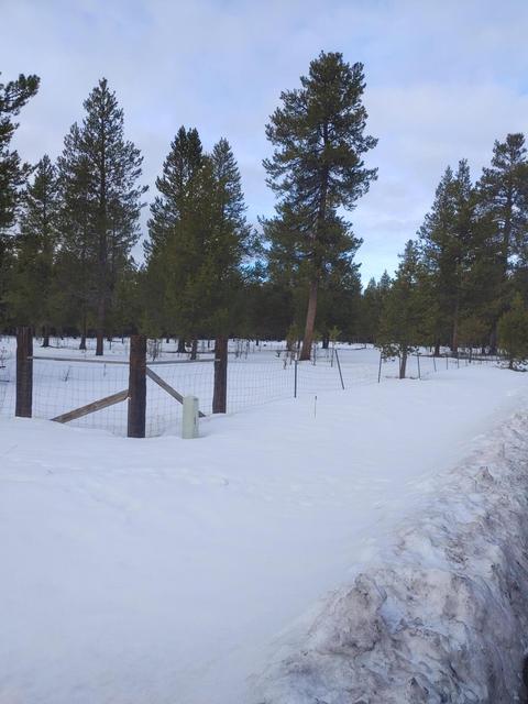 17455 Cedar Ct, Bend, OR 97707 photo 1