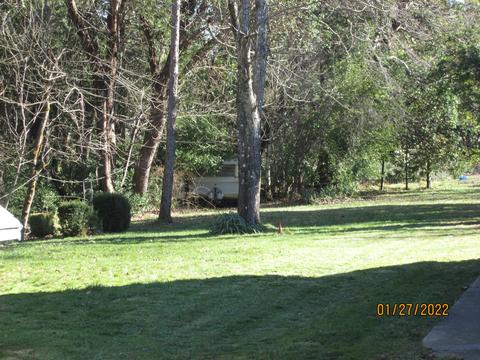 4940 Dick George Rd, Cave Junction, OR 97523 photo 7