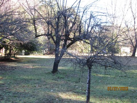 4940 Dick George Rd, Cave Junction, OR 97523 photo 4