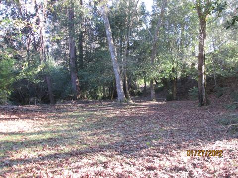 4940 Dick George Rd, Cave Junction, OR 97523 photo 19