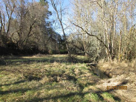 4940 Dick George Rd, Cave Junction, OR 97523 photo 22