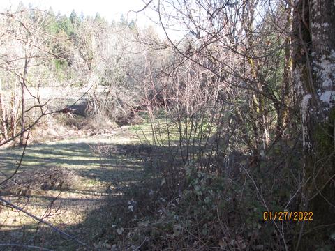 4940 Dick George Rd, Cave Junction, OR 97523 photo 20