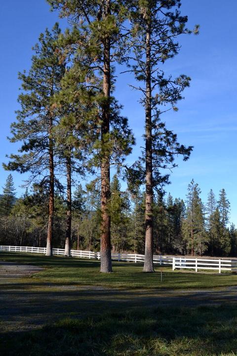 754 Cedar Flat Rd, Williams, OR 97544 photo 6