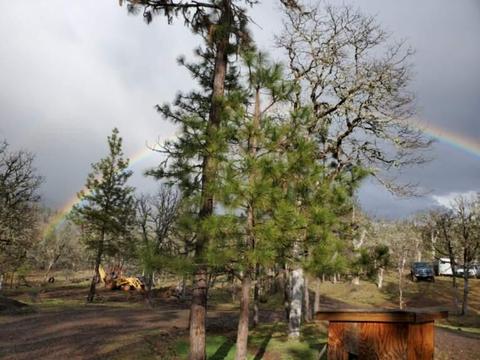 1455 Madera Dr, Trail, OR 97541 photo 19