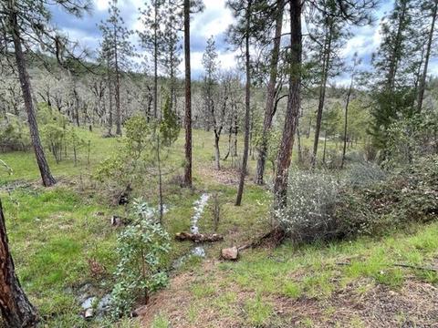 1455 Madera Dr, Trail, OR 97541 photo 23