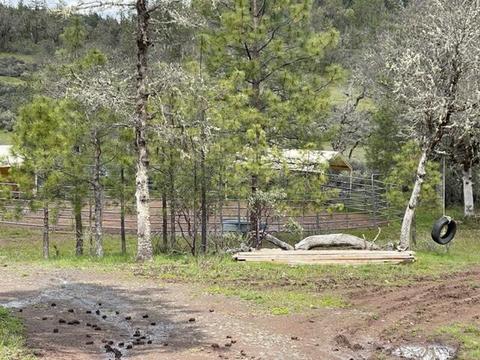 1455 Madera Dr, Trail, OR 97541 photo 28