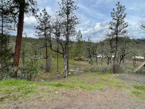 1455 Madera Dr, Trail, OR 97541 photo 24