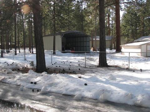 14865 Curlleaf, La Pine, OR 97739 photo 5