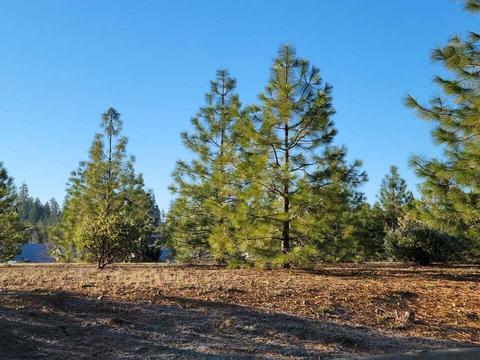 308 Cedar Rdg, Cave Junction, OR 97523 photo 1