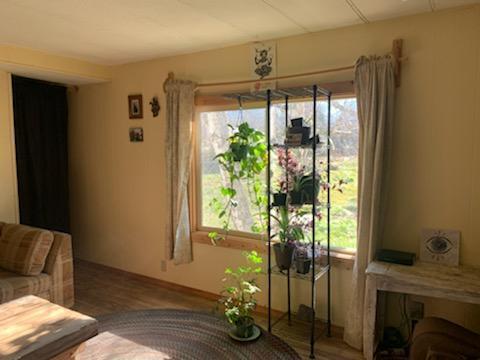 5353 Holland Rd, Cave Junction, OR 97523 photo 16