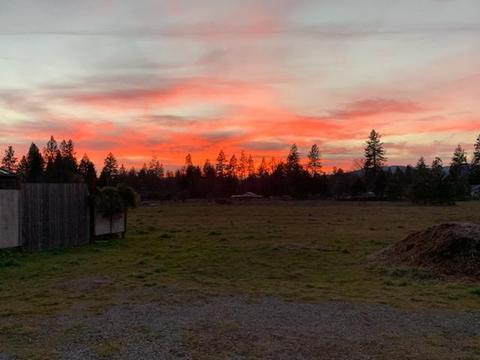 5353 Holland Rd, Cave Junction, OR 97523 photo 24