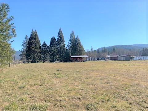 5353 Holland Rd, Cave Junction, OR 97523 photo 3