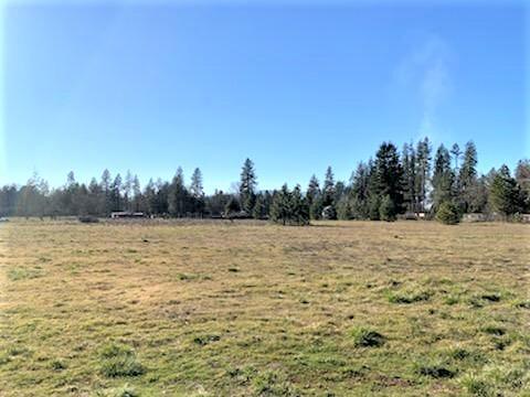 5353 Holland Rd, Cave Junction, OR 97523 photo 23