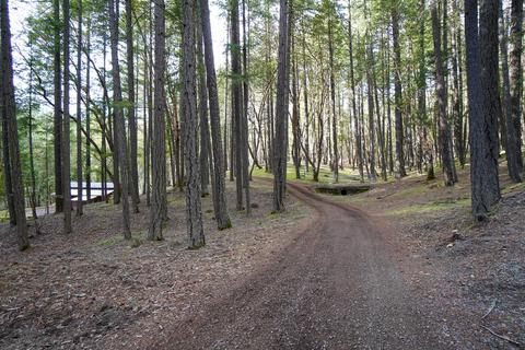 2675 Long Branch Rd, Eagle Point, OR 97524 photo 3