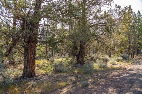 67296 Harrington Loop Rd, Bend, OR 97703 photo 4