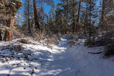 67296 Harrington Loop Rd, Bend, OR 97703 photo 45