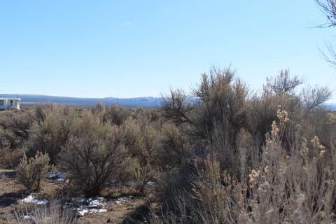 Tl 2400 Cedar Street, Christmas Valley, OR 97641