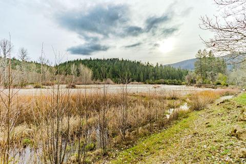 575 E Forks Cir, Cave Junction, OR 97523 photo 5