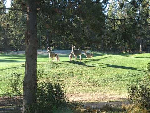 17897 Red Cedar Ln, Sunriver, OR 97707 photo 27
