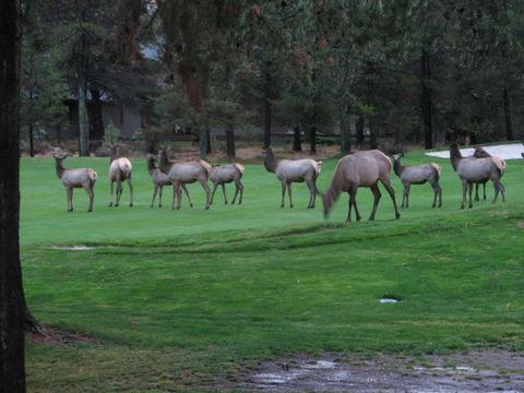 17897 Red Cedar Ln, Sunriver, OR 97707 photo 28