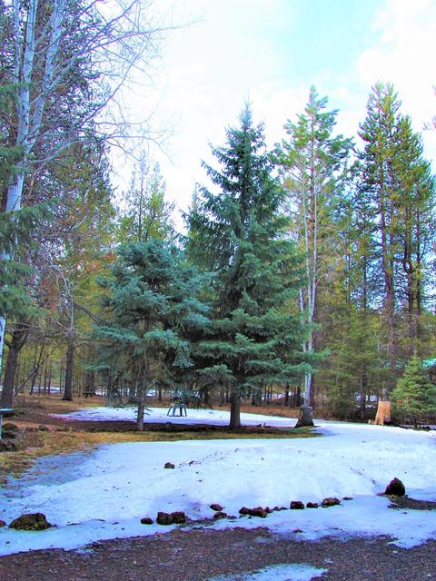 53245 Deep Woods Rd, La Pine, OR 97739 photo 6