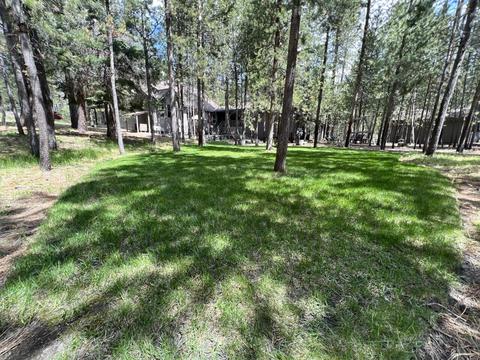 17053 Cooper Dr, Bend, OR 97707 photo 46