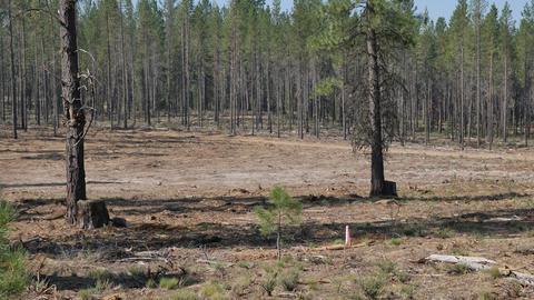 56390 Mirror Rock Loop, Bend, OR 97707 photo 8
