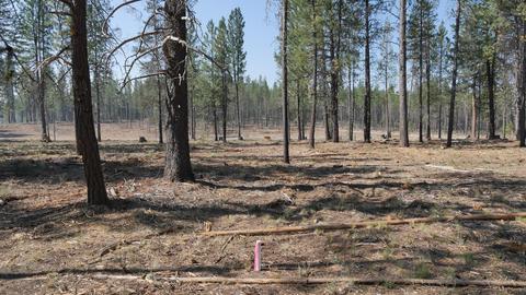 56390 Mirror Rock Loop, Bend, OR 97707 photo 4