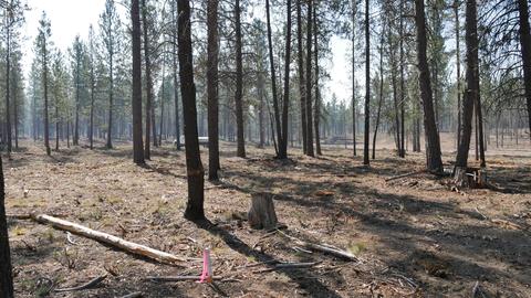 56390 Mirror Rock Loop, Bend, OR 97707 photo 5