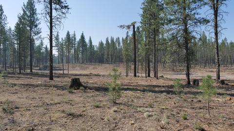 56390 Mirror Rock Loop, Bend, OR 97707 photo 6