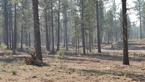 56390 Mirror Rock Loop, Bend, OR 97707 photo 7
