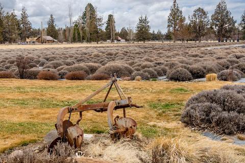 19825 Connarn Rd, Bend, OR 97701 photo 46