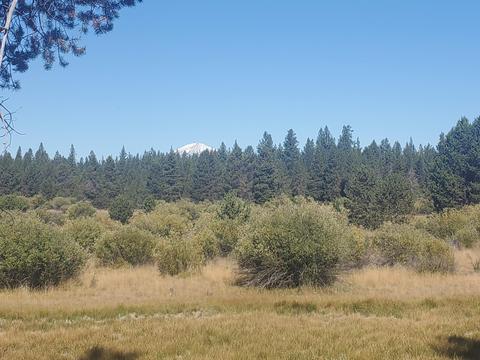 54649 Silver Fox Dr, Bend, OR 97707 photo 43