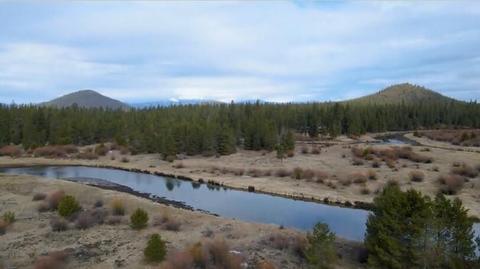54649 Silver Fox Dr, Bend, OR 97707 photo 6