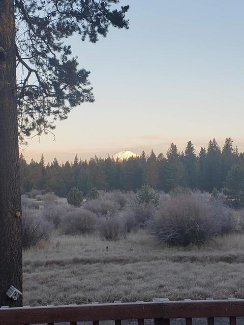 54649 Silver Fox Dr, Bend, OR 97707 photo 40