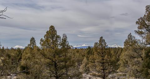 60535 Ward Rd, Bend, OR 97702 photo 3