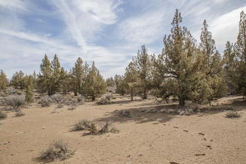60535 Ward Rd, Bend, OR 97702 photo 10