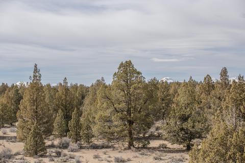 60535 Ward Rd, Bend, OR 97702 photo 4