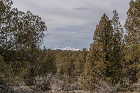 60535 Ward Rd, Bend, OR 97702 photo 2