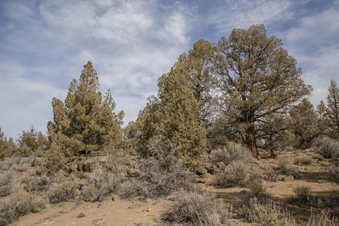 60535 Ward Rd, Bend, OR 97702 photo 11