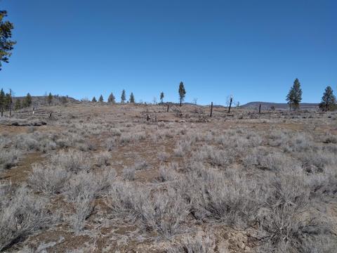 lot28 29 Canadian Honker Ln, Chiloquin, OR 97624