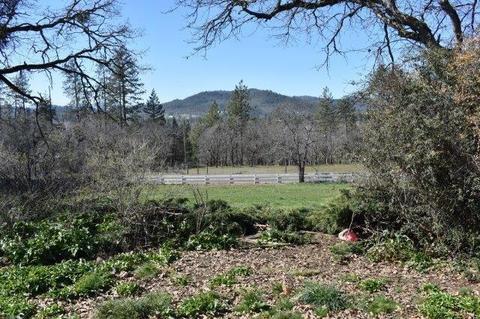 2110 Hammel Rd, Eagle Point, OR 97524 photo 2