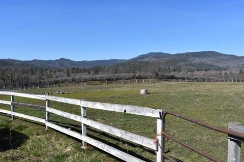 2110 Hammel Rd, Eagle Point, OR 97524 photo 11