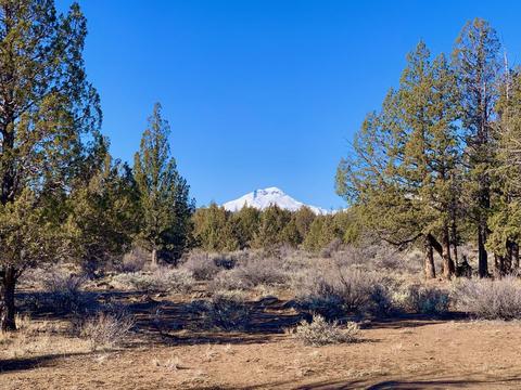 18028 Cascade Estates Dr, Bend, OR 97703 photo 3