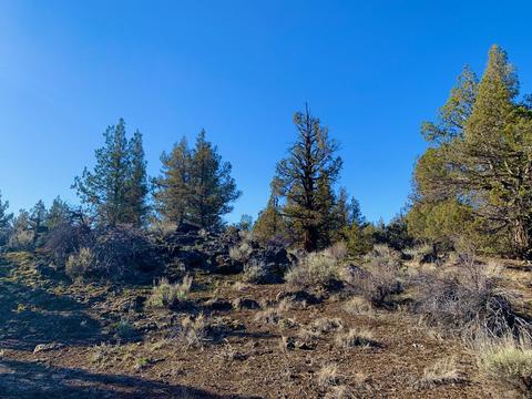 18028 Cascade Estates Dr, Bend, OR 97703 photo 11